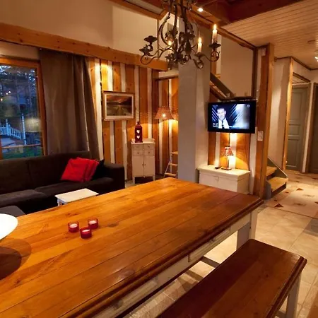 President Mountain Chalets Дом отдыха Леви