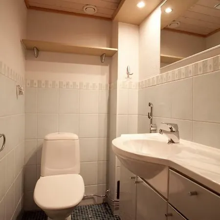 President Mountain Chalets Levi