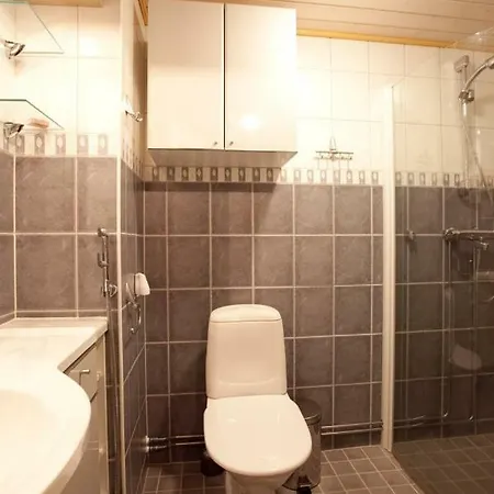 President Mountain Chalets * Леви