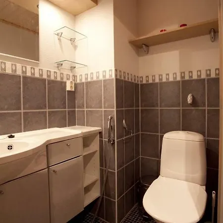 Дом отдыха President Mountain Chalets Леви